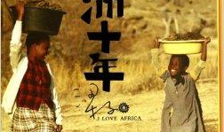 非洲十年,崛起与挑战的交响曲